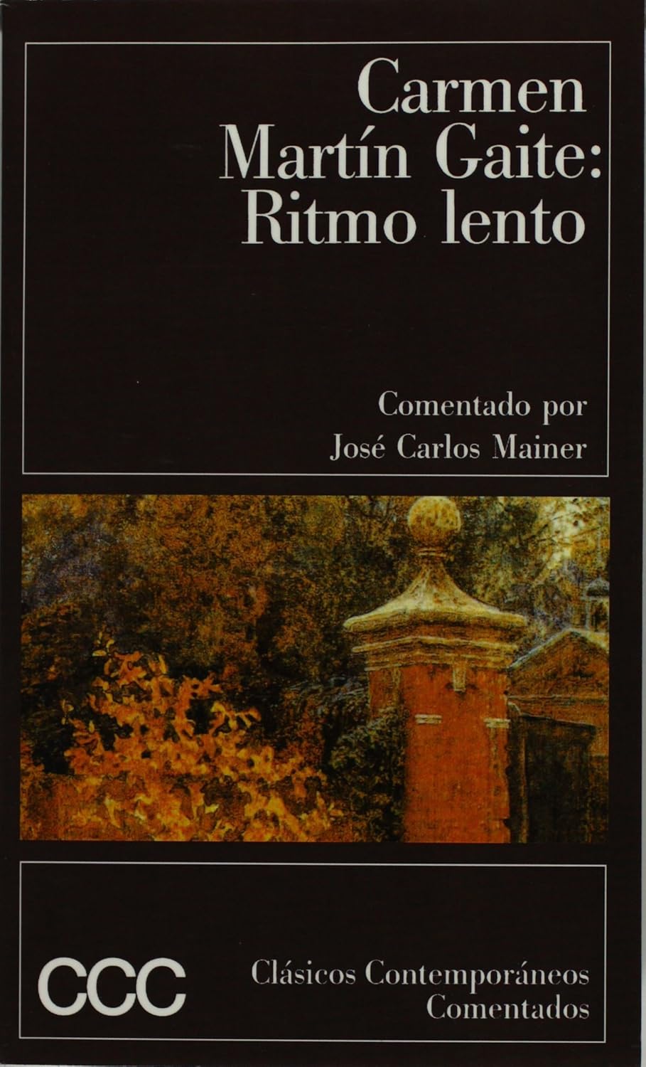 Ritmo Lento (Martín Gaite)